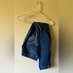 Wallflower Distressed Blue Denim Jeans